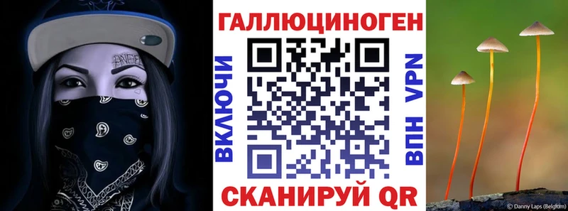 МЕГА ССЫЛКА  купить наркоту  Краснокамск  Галлюциногенные грибы GOLDEN TEACHER 
