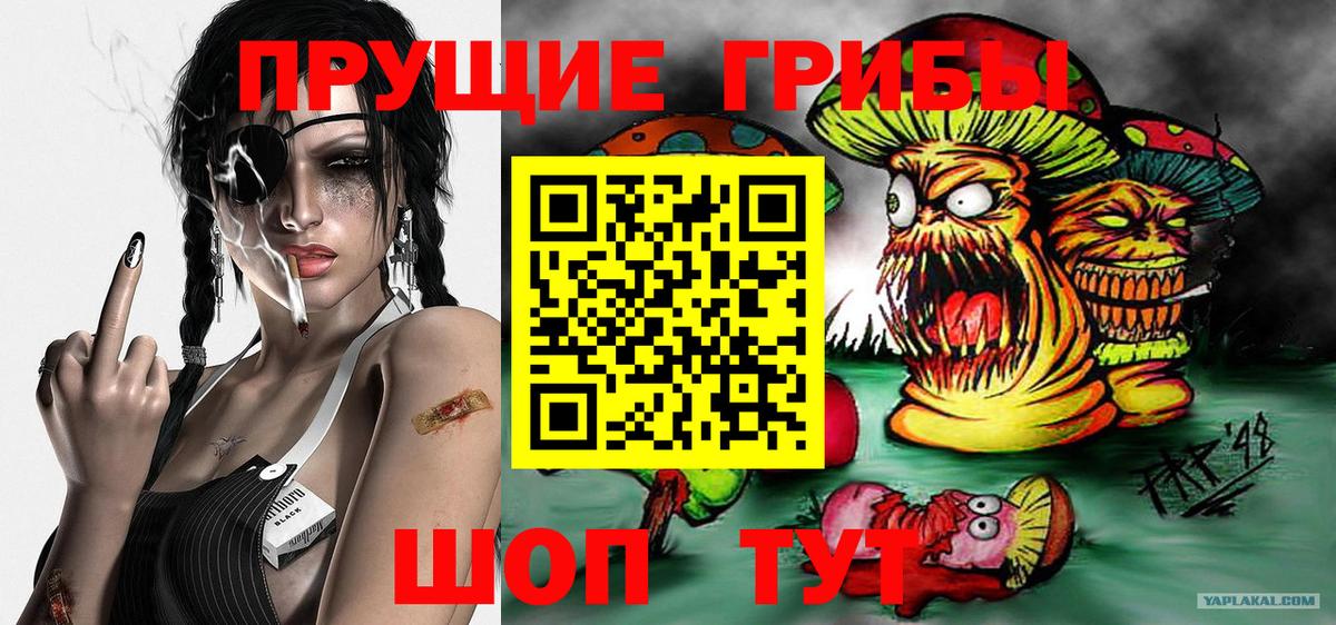 Краснокамск  цены   Вход с VPN  Псилоцибиновые грибы Psilocybine cubensis 